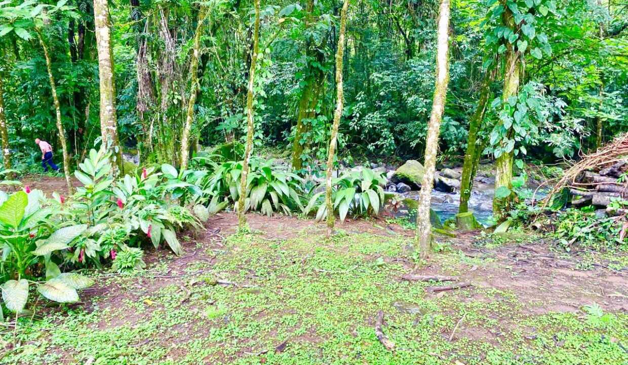 Riverfront La Fortuna property with jungle setting, ideal for retreats near hot springs and Arenal