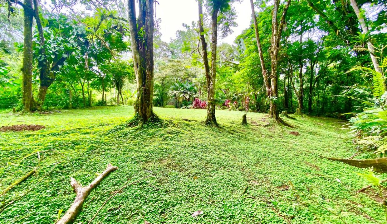 Premium investment land near La Fortuna hot springs and Arenal Volcano, development-ready and private