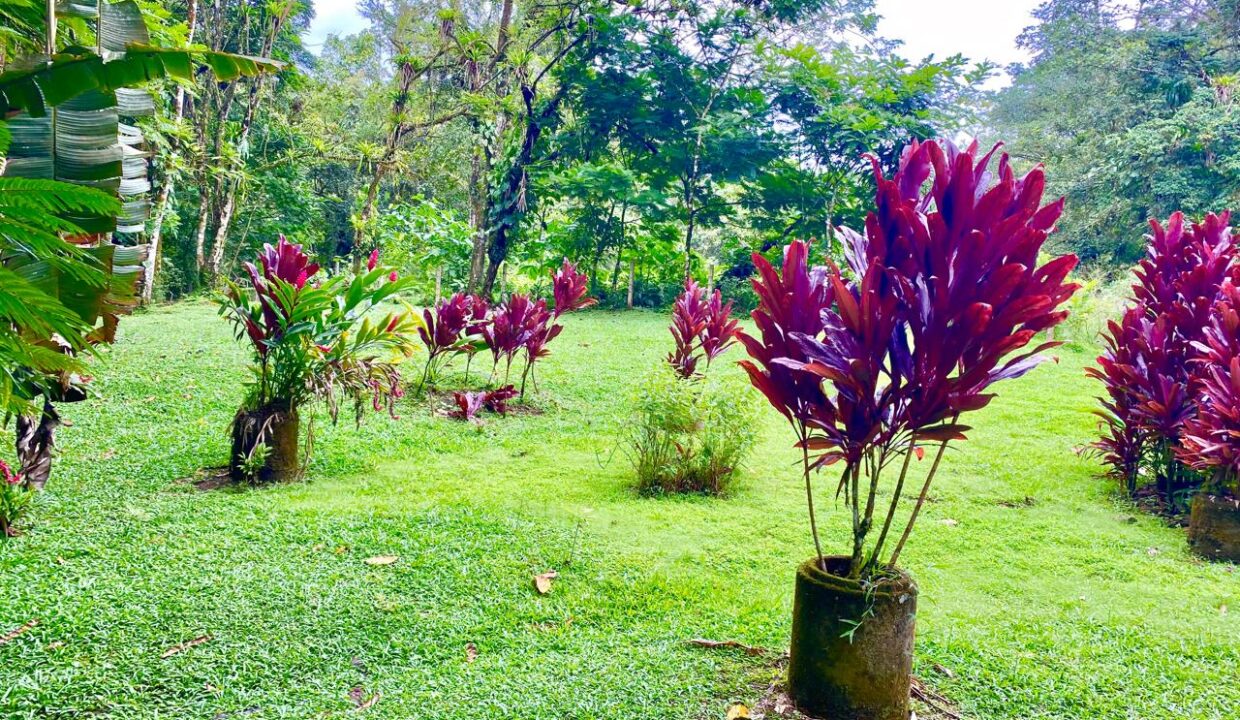 Colorful tropical landscaping on premium development land near Arenal Volcano and La Fortuna attractions