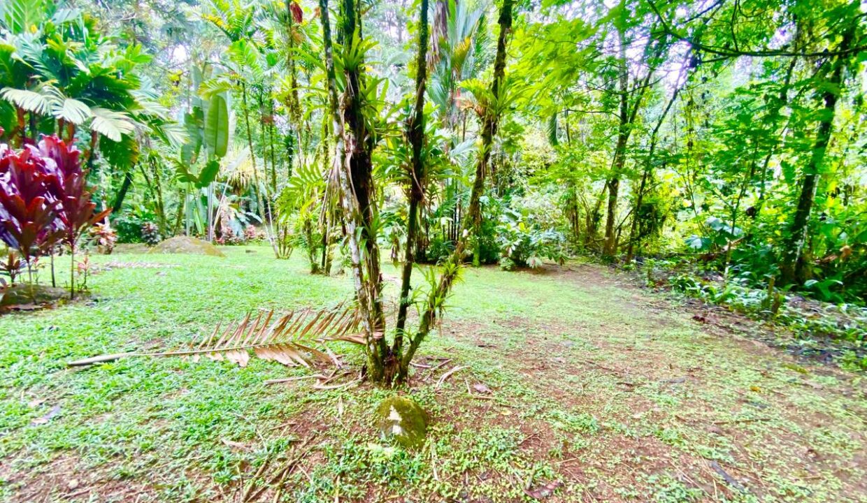 Jungle edge clearing within riverfront property, perfect for Airbnb cabins or yoga spaces in La Fortuna