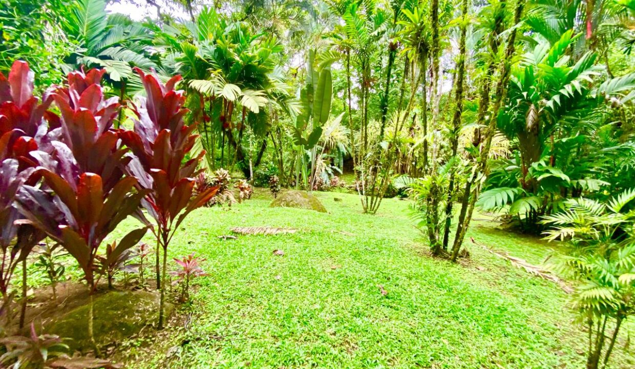 WhatsApp Image 2025-06-13 at 9.25.31 AM