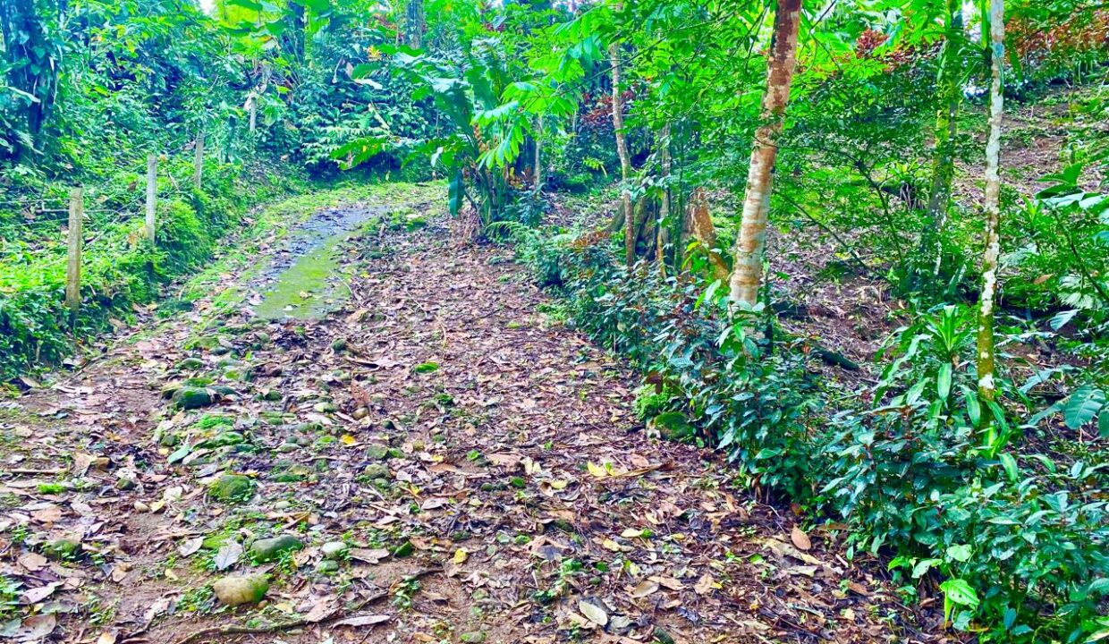 WhatsApp Image 2025-06-13 at 9.27.07 AM