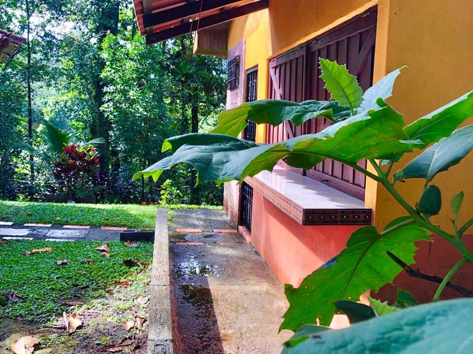 View of tropical home nestled in greenery on premium investment property near Arenal Volcano