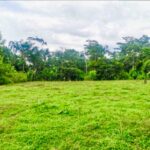 Grassy lot surrounded by lush jungle in Jauri near La Fortuna Costa Rica