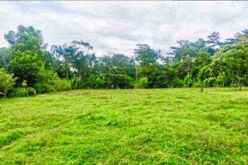 Grassy lot surrounded by lush jungle in Jauri near La Fortuna Costa Rica