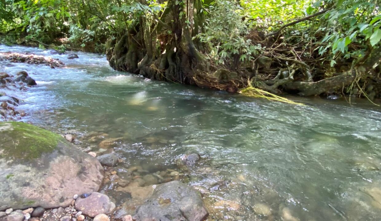 Wide blue river with natural tree canopy, Rio Burio on Quinta del Bosque property