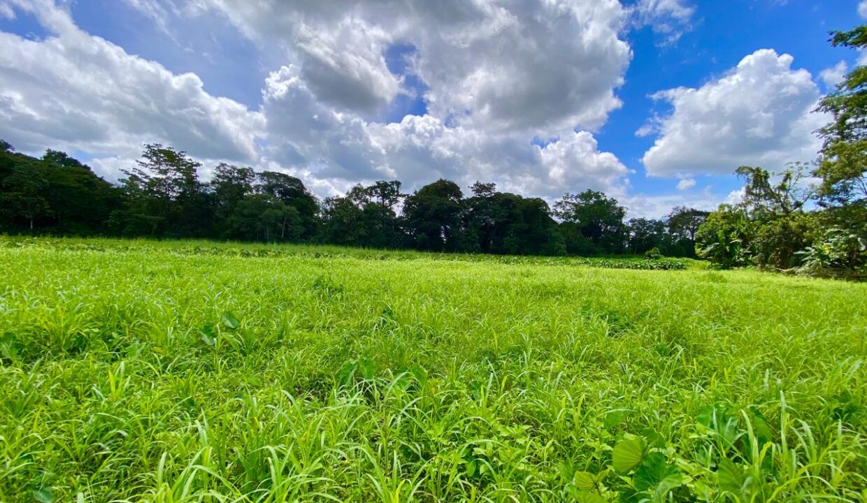 Flat buildable pasture surrounded by trees and sky, perfect for eco-home development near La Fortuna.