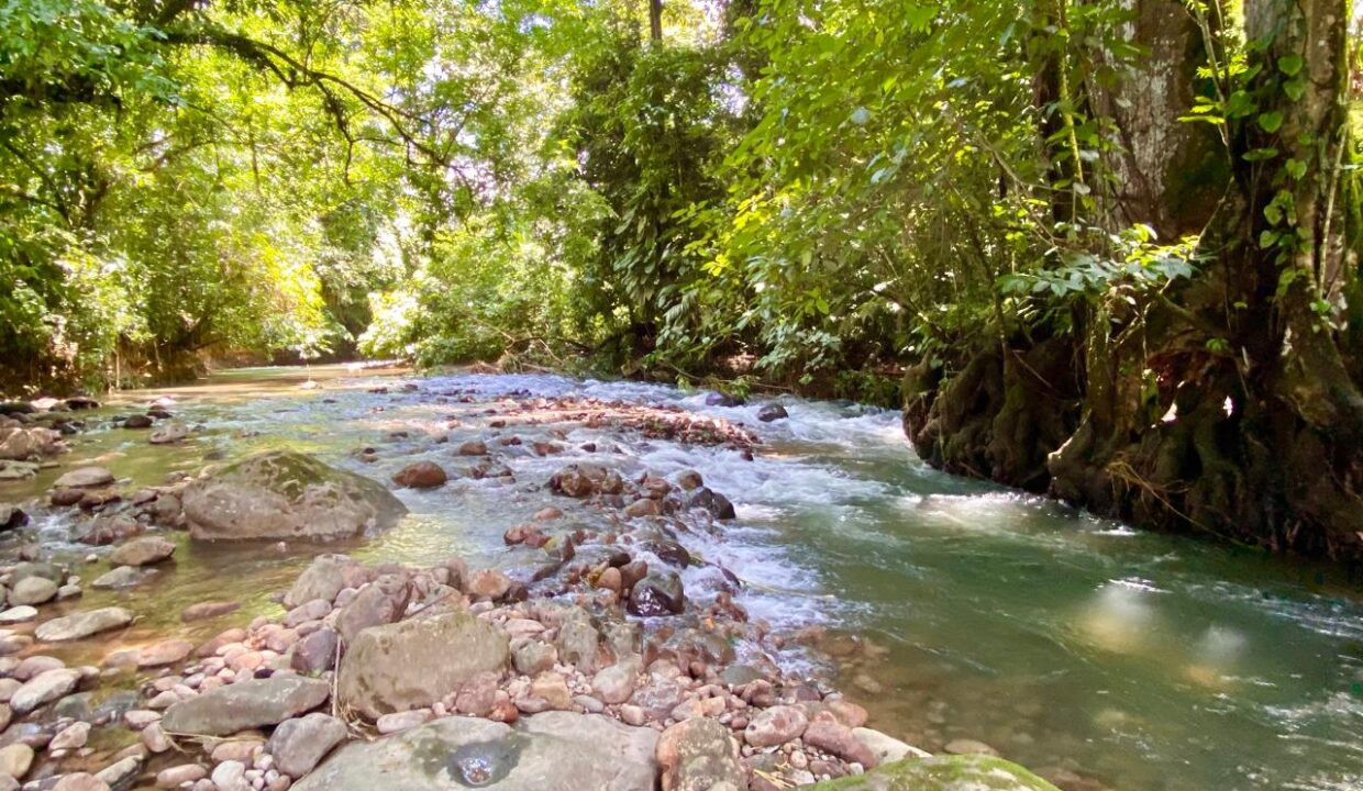Rocky edges of a freshwater river flowing gently under thick jungle canopy at Quinta del Bosque.