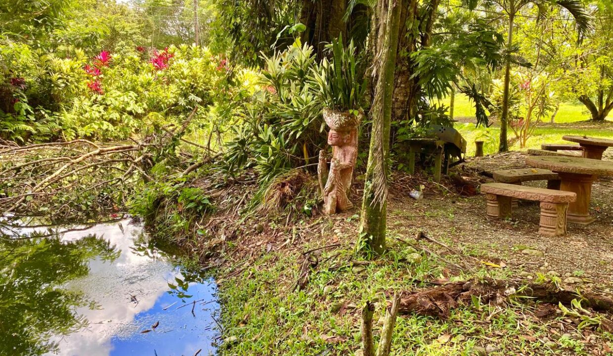 A riverside rest area next to lush vegetation and artisan decor in Quinta del Bosque.