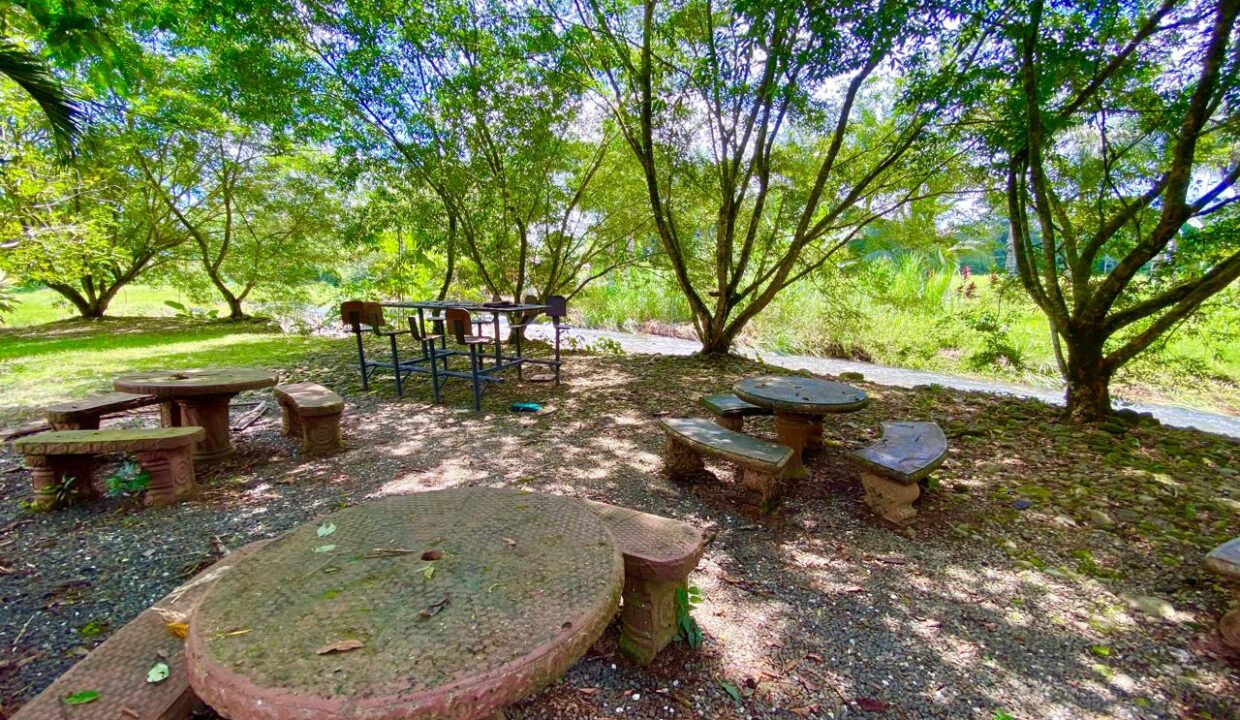 Picnic tables and stone benches under a green canopy by the riverbank.