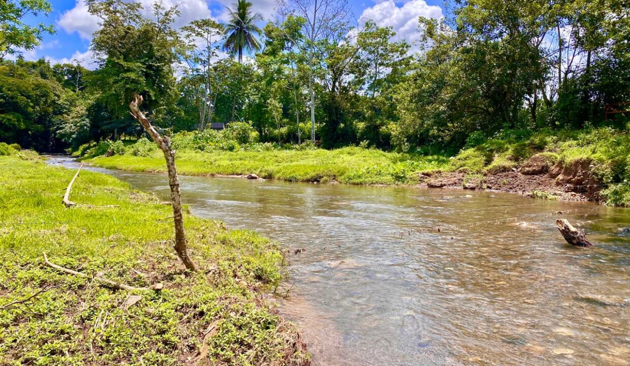 WhatsApp Image 2025-07-03 at 23.21.26_6b35b5e6