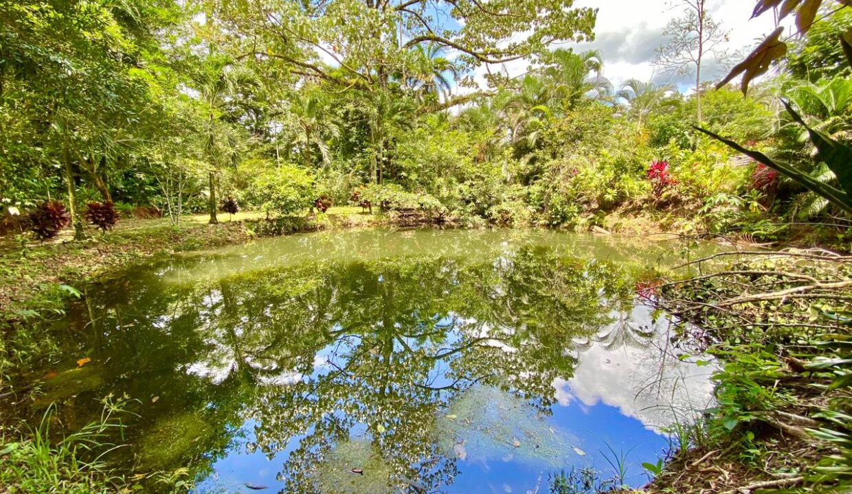 Still water reflects tropical trees and sky in a secluded pond within Quinta del Bosque.