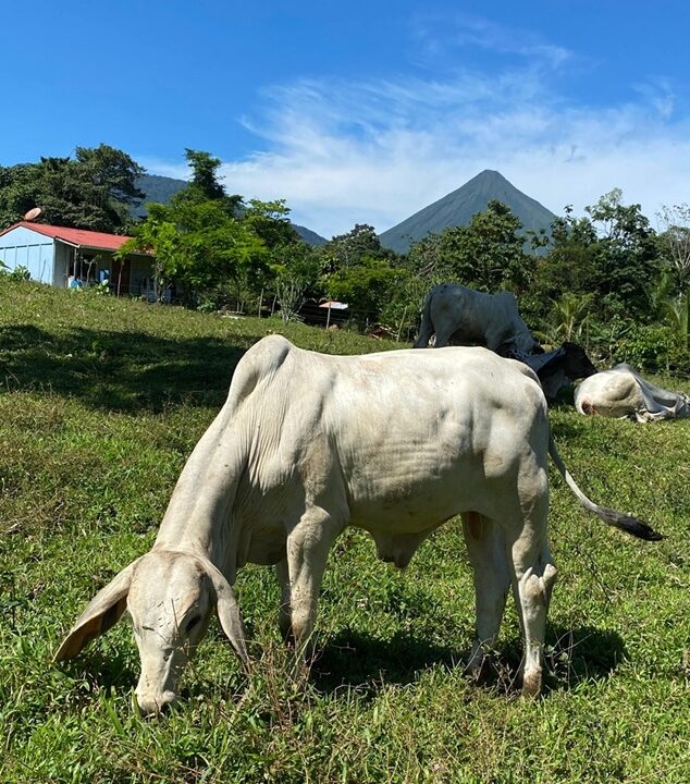 La Fortuna Costa Rica pasture land with volcano views for sale