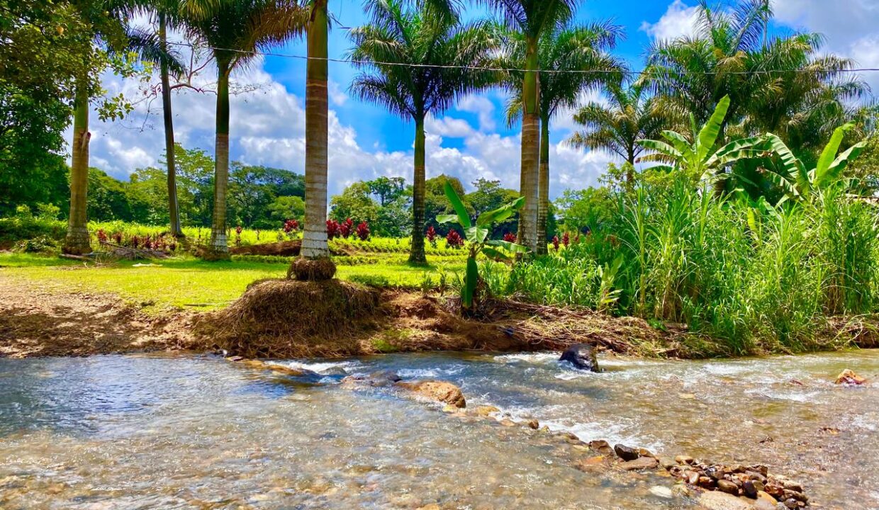 Palm-lined river view, La Fortuna Costa Rica real estate near Arenal Volcano